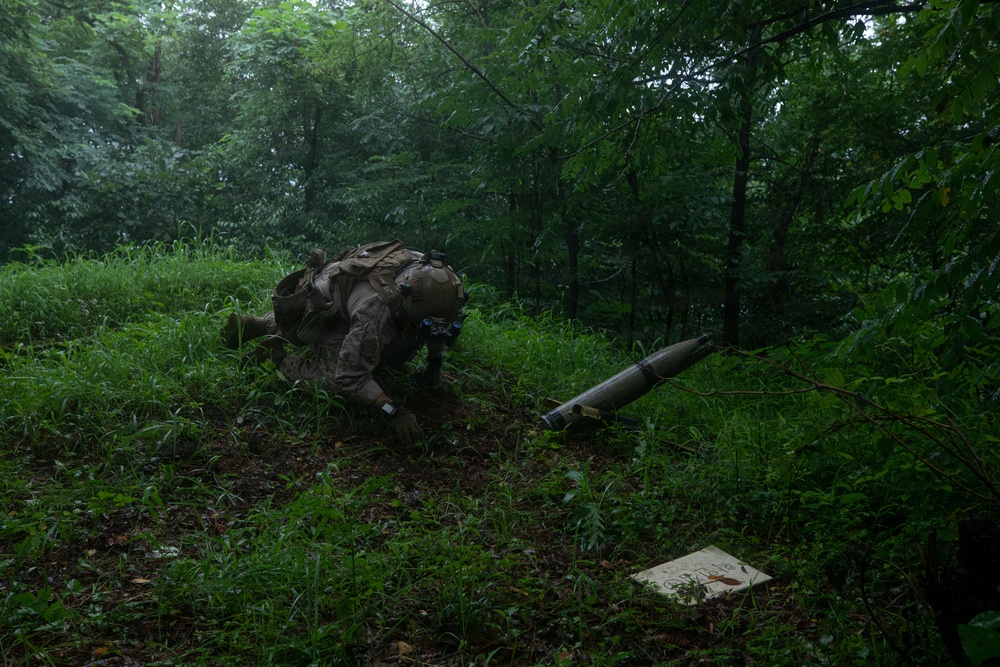 U.S. Marines Conduct Full Spectrum EOD Calls on LPP Goldmine