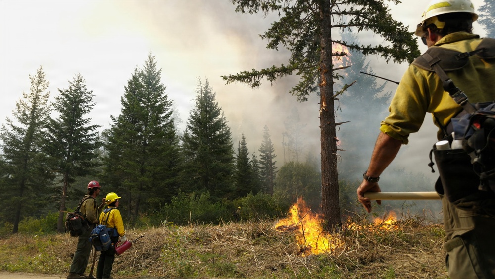 Three wildland firefighters in protective gear are monitoring or conducting a controlled burn operation in a forested area. Active flames are visible on the ground near brush and debris, with smoke rising into the sky among conifer trees. The scene appears to be a prescribed burn or active wildfire suppression effort.