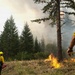 Three wildland firefighters in protective gear are monitoring or conducting a controlled burn operation in a forested area. Active flames are visible on the ground near brush and debris, with smoke rising into the sky among conifer trees. The scene appears to be a prescribed burn or active wildfire suppression effort.