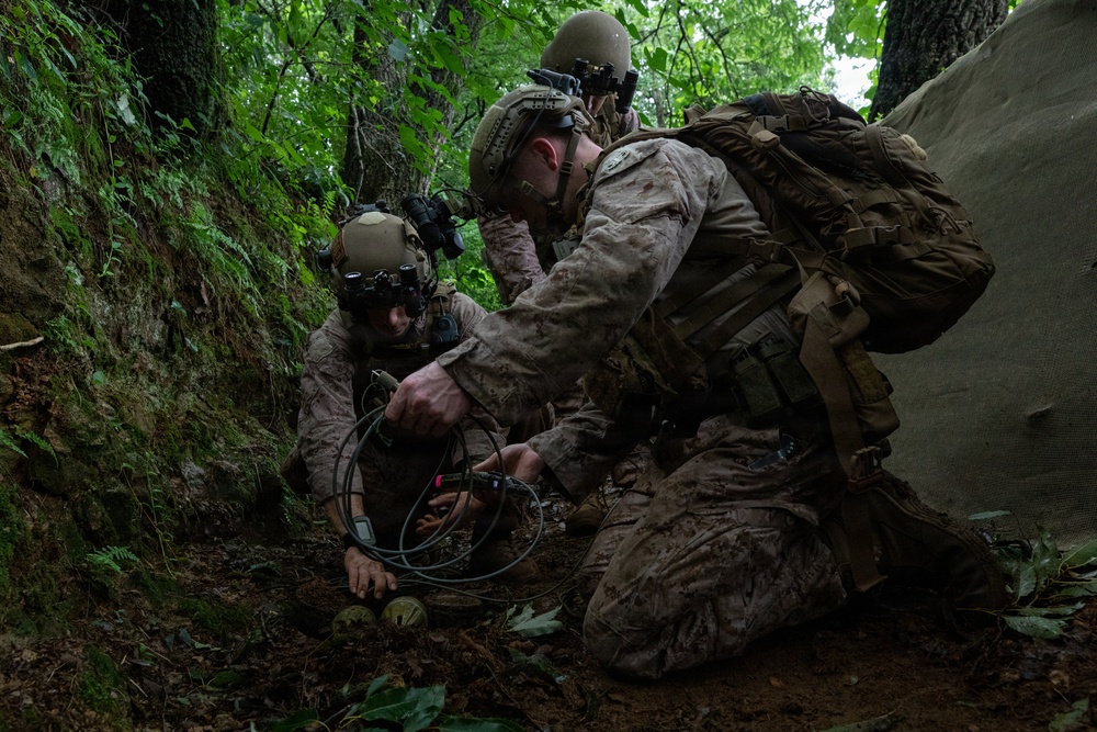 U.S. Marines Conduct Full Spectrum EOD Calls on LPP Goldmine