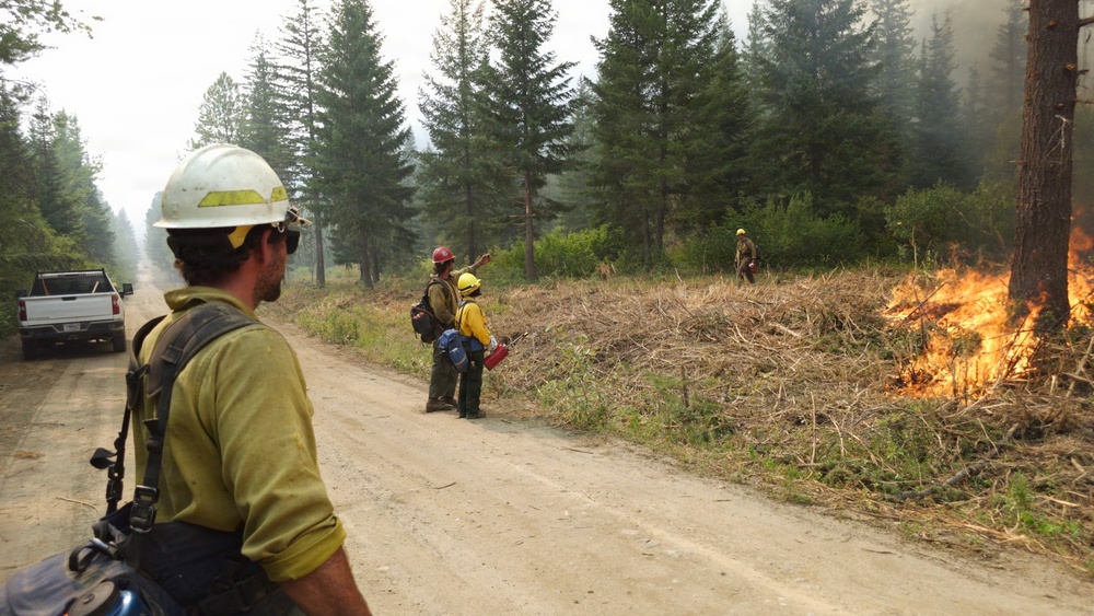 A group of wildland firefighters are conducting a prescribed burn or managing a wildfire along a dirt forest road. At least three personnel in yellow fire-resistant shirts and hard hats are visible, with one holding a drip torch used to ignite controlled burns. Active flames are visible on the right side of the road, consuming brush and debris near a tree line of conifers.