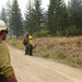 A group of wildland firefighters are conducting a prescribed burn or managing a wildfire along a dirt forest road. At least three personnel in yellow fire-resistant shirts and hard hats are visible, with one holding a drip torch used to ignite controlled burns. Active flames are visible on the right side of the road, consuming brush and debris near a tree line of conifers.