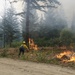 Three wildland firefighters are conducting a prescribed burn or managing a fire along a dirt road in a coniferous forest. The personnel are equipped with standard wildland firefighting gear and at least one is carrying a drip torch used to ignite controlled burns. Smoke fills the background as flames consume brush and debris along the forest edge.