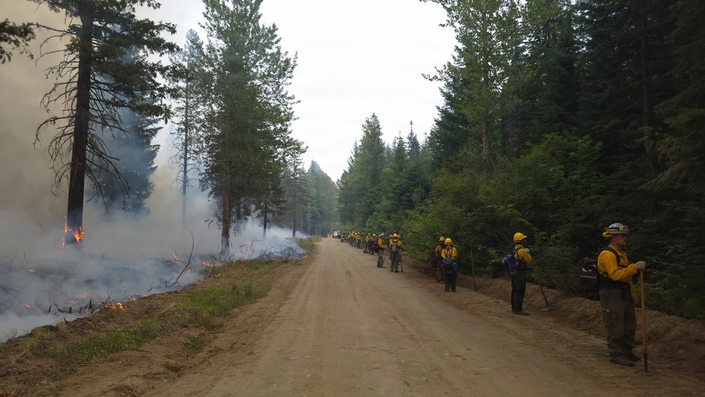 A crew of wildland firefighters is staged along a dirt forest road adjacent to an active fire burning on the left side. The firefighters are wearing standard yellow Nomex shirts and hard hats, carrying hand tools, and appear to be monitoring or preparing to engage the fire line. Smoke and visible flames are present among the conifer trees on the left, while the right side of the road remains unburned.
