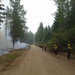 A crew of wildland firefighters is staged along a dirt forest road adjacent to an active fire burning on the left side. The firefighters are wearing standard yellow Nomex shirts and hard hats, carrying hand tools, and appear to be monitoring or preparing to engage the fire line. Smoke and visible flames are present among the conifer trees on the left, while the right side of the road remains unburned.