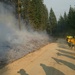 A crew of wildland firefighters in yellow Nomex gear and hard hats march along a dirt forest road adjacent to an active fire line with smoldering ground vegetation and smoke. The crew appears to be a hand crew, likely moving along a containment line or firebreak in a conifer forest. The scene depicts active wildfire suppression operations in what appears to be a western U.S. forest environment.