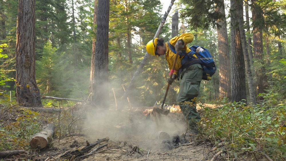 A wildland firefighter in full protective gear is working to extinguish a smoldering ground fire in a forested area. The individual is using a hand tool, likely a Pulaski or similar firefighting implement, to dig into and break apart burning debris on the forest floor. Smoke is rising from the disturbed soil and charred material, indicating active mop-up operations.