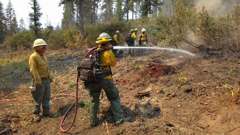 A wildland firefighting crew is working to suppress or mop up a forest fire in a wooded area. One firefighter in the foreground is actively spraying water from a hose while another stands nearby observing. Additional crew members are visible in the background amid smoke, all wearing standard wildland firefighter gear.