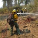 A wildland firefighting crew is working to suppress or mop up a forest fire in a wooded area. One firefighter in the foreground is actively spraying water from a hose while another stands nearby observing. Additional crew members are visible in the background amid smoke, all wearing standard wildland firefighter gear.