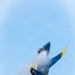 U.S. Navy Blue Angels perform at ATOH 2026
