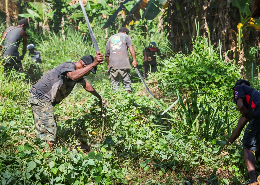 A group of workers are clearing dense vegetation in what appears to be a tropical agricultural or land-clearing setting. Multiple individuals are using machetes and long-handled tools to cut through thick undergrowth surrounded by banana trees and lush greenery. The scene depicts coordinated manual labor in a tropical environment.