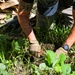 A person wearing tactical gloves is kneeling on the ground and working in the soil in a vegetated outdoor area. They appear to be handling or placing a small orange-marked object in the dirt. A rifle is visible on the ground nearby, suggesting a military or law enforcement training context.