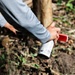 A person wearing a gray long-sleeve shirt is holding a cylindrical can or aerosol container with a red cap/nozzle in an outdoor wooded setting. The background shows forest floor debris including twigs, leaves, and soil. The focus is on the hands and the object being held.