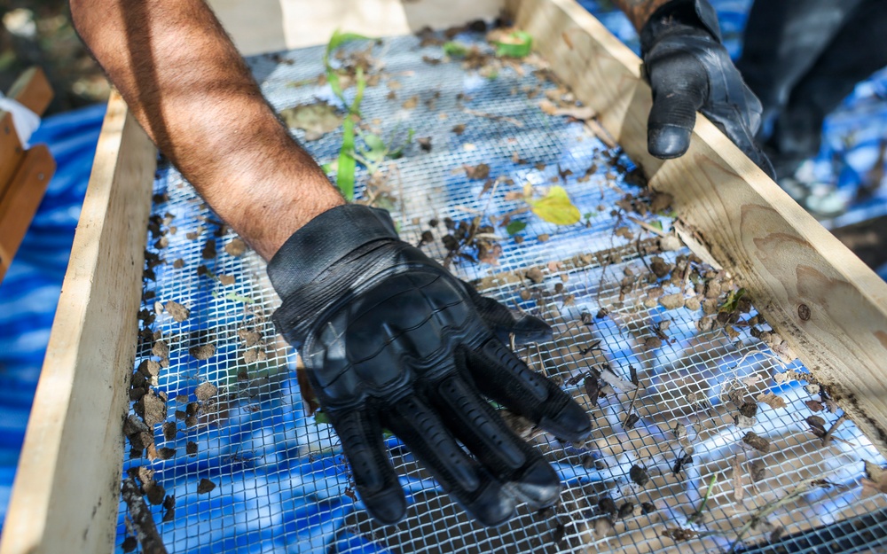 A person wearing black tactical/work gloves is using a wooden-framed wire mesh screen to sift soil and debris outdoors. The screen appears to be resting on a blue tarp, and the mesh contains dirt clumps, leaf fragments, and organic material. This activity is consistent with archaeological fieldwork, soil screening, or gardening/composting.