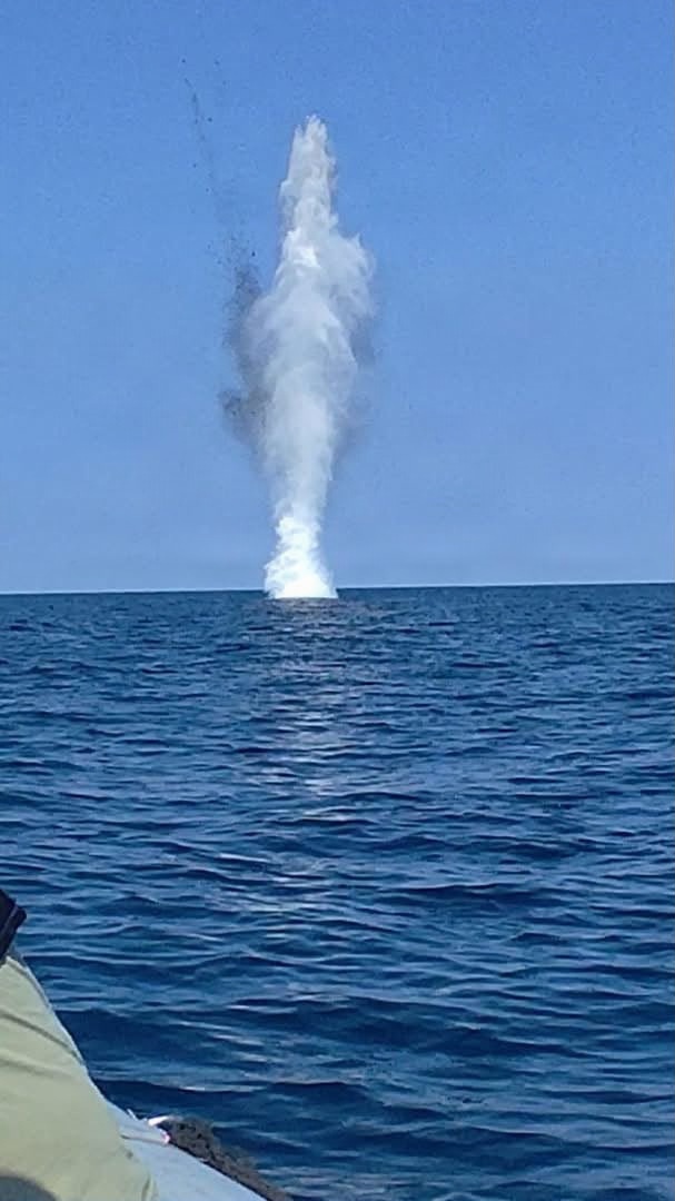 Drifting Unmanned Maritime System Neutralized