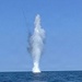 Drifting Unmanned Maritime System Neutralized