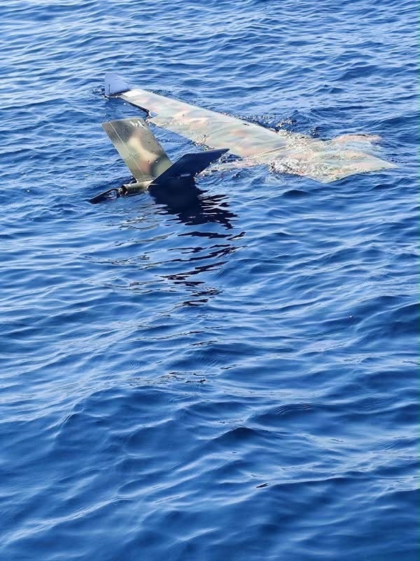 Drifting Unmanned Maritime System