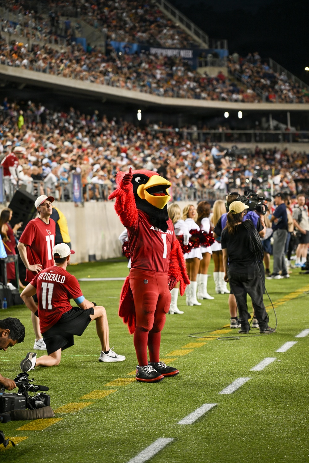 An Arizona Cardinals NFL mascot ('Big Red') poses on the sideline of a football field during a night game, giving a thumbs-up gesture. The scene includes cheerleaders, camera operators, and fans wearing Cardinals jerseys in a packed stadium. The setting appears to be a preseason or regular season NFL game with significant media presence on the sideline.