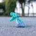 A small teal/turquoise plastic bag, tied at the top, sits on a paved surface such as a sidewalk or road. The bag appears to contain some material, likely dog waste based on its size, shape, and context. The background is blurred, showing trees and what appears to be a body of water in a park-like setting.