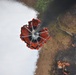 An aerial photograph taken from above shows a helicopter water bucket (Bambi bucket) actively releasing water or fire retardant onto a ground fire. The orange collapsible bucket is suspended by cables and is mid-discharge, with white foam/water spraying outward. Active flames, charred ground, debris, and a discarded tire are visible on the ground below.