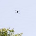 A small quadcopter drone is captured in flight against a pale blue sky. The drone appears to be hovering or moving at a moderate altitude above tree level. A green leafy tree canopy is visible in the lower left corner of the frame.