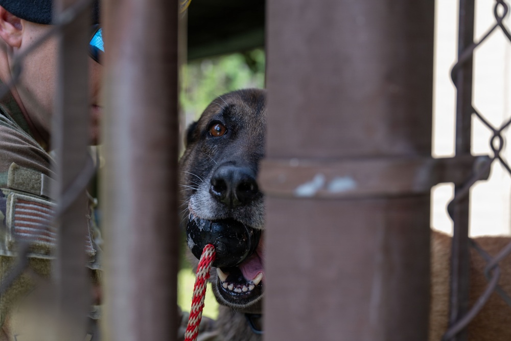 A military or law enforcement working dog is visible through metal bars or a gate, holding a black ball with a red rope in its mouth. The dog appears to be a Belgian Malinois or similar breed with a brindle coat. A person in camouflage uniform with a US flag patch is partially visible on the left side of the frame.