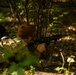 1st Regiment, Basic Camp, FTX | CST 2026