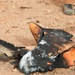 The image shows burned and charred debris lying on sandy, rocky ground. The fragments appear to be remnants of a destroyed object, showing significant fire and heat damage with blackened surfaces and melted material. A person's boot is partially visible in the upper right background.