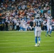 An NFL football game is in progress featuring a player wearing jersey number 13 with the name 'METCHIE III' on the back, dressed in white and light blue Carolina Panthers-style uniforms. The opposing team appears to be the Arizona Cardinals, identifiable by a player in a red jersey with number 28. The game is being played in a large stadium filled with spectators.