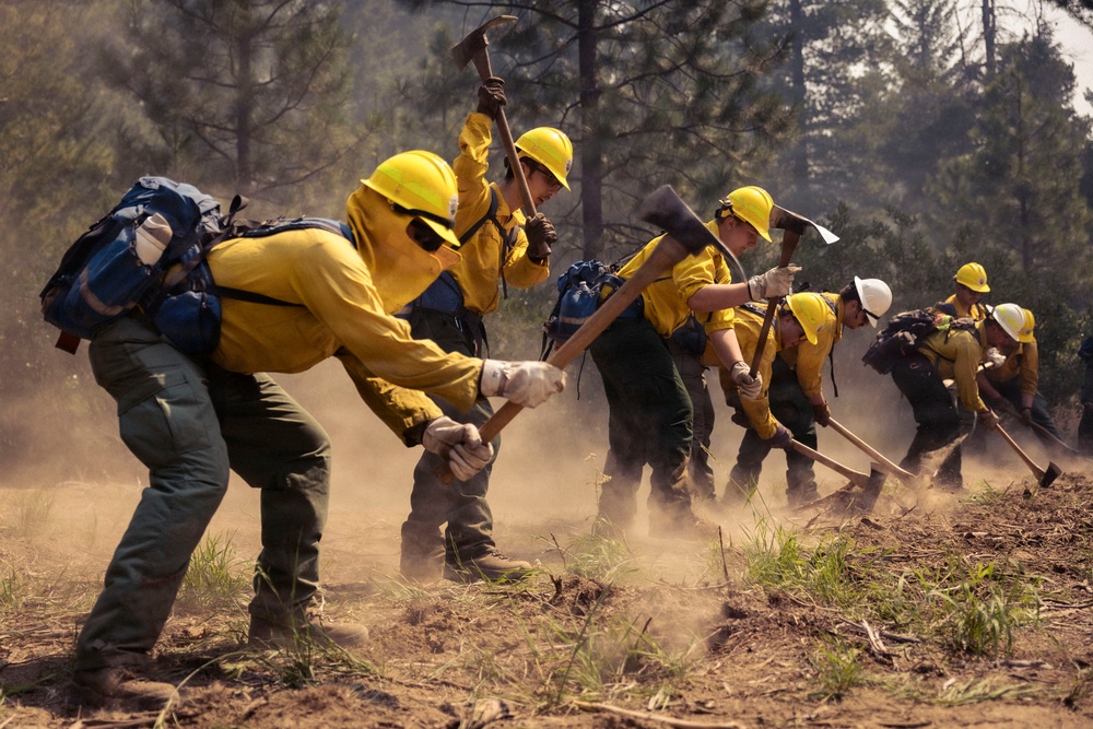 A crew of wildland firefighters in yellow Nomex shirts and yellow hard hats are working in a line, digging and clearing ground with hand tools such as pulaskis and McLeods. They appear to be constructing a fire line or fuel break in a forested area, kicking up significant dust as they work. One supervisor or crew boss is visible wearing a white hard hat among the crew.