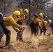 A crew of wildland firefighters in yellow Nomex shirts and yellow hard hats are working in a line, digging and clearing ground with hand tools such as pulaskis and McLeods. They appear to be constructing a fire line or fuel break in a forested area, kicking up significant dust as they work. One supervisor or crew boss is visible wearing a white hard hat among the crew.