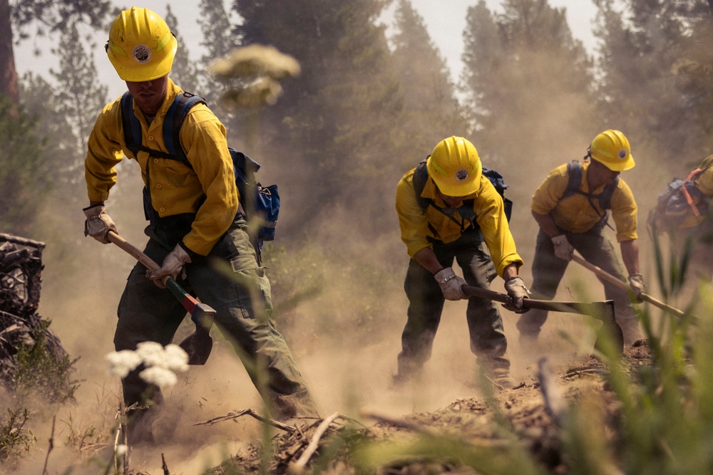 Three wildland firefighters in standard yellow Nomex fire-resistant shirts and yellow hard hats are actively digging a fire line in a forested area. They are working in close formation, using hand tools to scrape and clear vegetation and soil, raising visible dust clouds. The background shows tall conifers partially obscured by haze or smoke.
