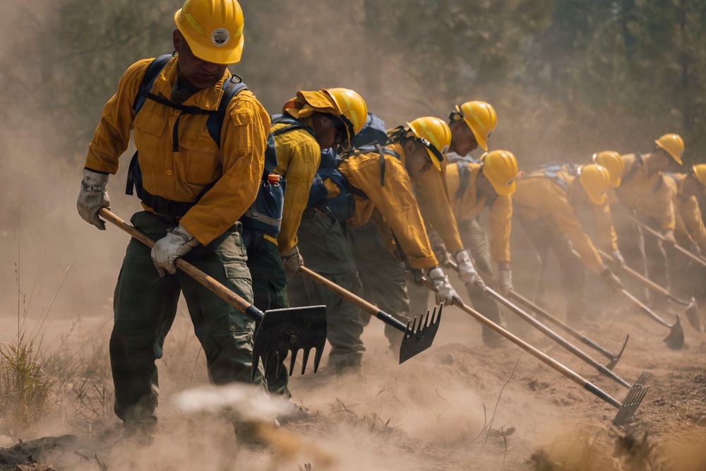 A line of wildland firefighters wearing yellow Nomex fire-resistant jackets and yellow hard hats are working in coordinated formation to construct a fire line. They are using hand tools including Pulaskis, McLeods, and shovels to scrape and clear vegetation from the ground in dusty, smoky conditions. The image captures the physical intensity and teamwork involved in hand-crew firefighting operations.