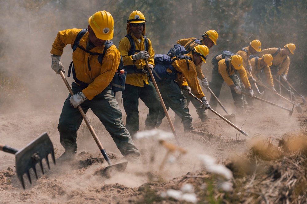A crew of wildland firefighters in yellow Nomex gear and hard hats work in a coordinated line, digging and scraping the ground with hand tools to construct a fire line. Dust fills the air as the crew works in unison across a smoky, disturbed landscape. The image captures the intense physical labor involved in wildfire suppression operations.