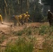A crew of wildland firefighters is constructing a fire line by digging and scraping the ground with hand tools in a forested area. The workers are dressed in standard wildland firefighting gear including yellow Nomex shirts and hard hats. Two supervisors or observers in white hard hats stand to the right watching the crew work.