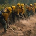 A crew of wildland firefighters, commonly known as a 'hotshot crew,' is working in a coordinated line to construct a firebreak by clearing vegetation and digging into the soil. The workers are uniformly equipped in yellow Nomex fire-resistant shirts, green pants, and yellow hard hats. The image captures intense physical labor with dust rising from the ground as the crew works in synchronized formation.