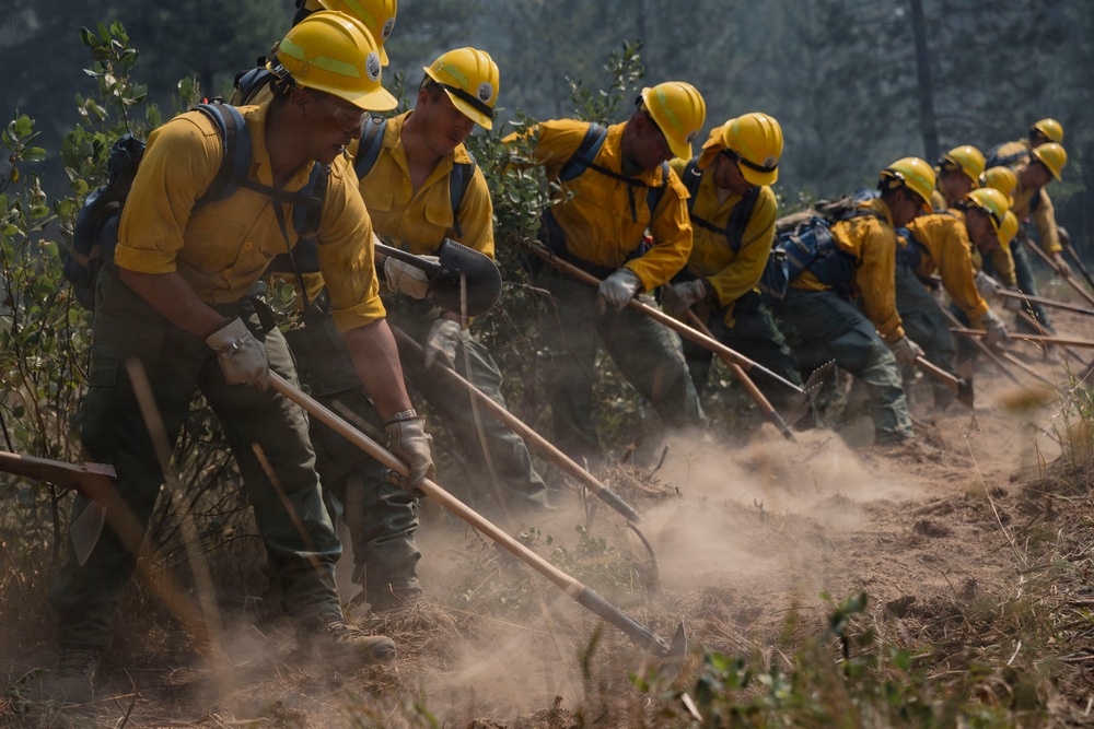 A crew of wildland firefighters in standard yellow Nomex shirts and hard hats work in a coordinated line on a hillside, using hand tools to construct a fire line. The team is digging and scraping the ground to clear vegetation and create a firebreak. Dust rises from the dry soil as the crew works in unison across a forested slope.