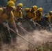 A crew of wildland firefighters in standard yellow Nomex shirts and hard hats work in a coordinated line on a hillside, using hand tools to construct a fire line. The team is digging and scraping the ground to clear vegetation and create a firebreak. Dust rises from the dry soil as the crew works in unison across a forested slope.