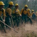 A large crew of wildland firefighters is working in a line formation, digging a fire line through dusty terrain. They are wearing standard wildland firefighting gear including yellow Nomex shirts, green pants, yellow hard hats, and work gloves. The crew appears to be actively constructing a hand line using hand tools in a smoky, forested environment.