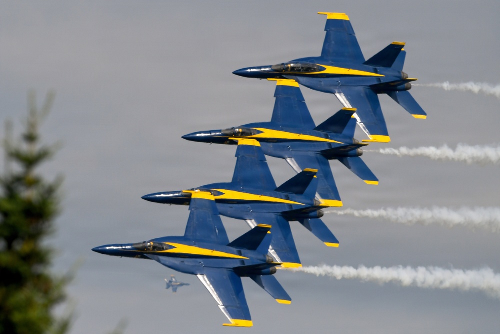 Four U.S. Navy Blue Angels F/A-18 Hornet jets fly in tight diamond formation during an airshow performance. The aircraft display their distinctive blue and yellow livery while producing white smoke trails from their engines. A fifth aircraft is faintly visible in the background lower left, and a tree is partially visible in the foreground left.