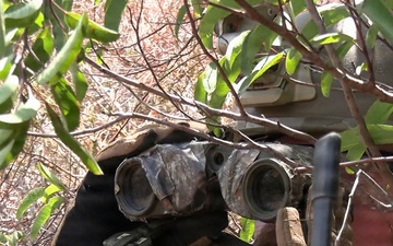 1st ANGLICO conducts field exercise