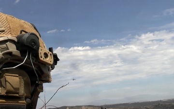 1st ANGLICO conducts field exercise