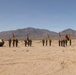 A military ceremony is taking place in an arid desert environment, with uniformed soldiers standing in formation and saluting while holding unit guidons and an American flag. Two armored vehicles flank the formation on either side, suggesting a formal change of command or awards ceremony. The backdrop features a clear blue sky and distant mountain range consistent with a Southwestern U.S. desert training installation.