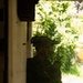 LCF-24: V32 MSOT 8014 CQB Training