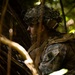 LCF-24: V32 MSOT 8014 CQB Training