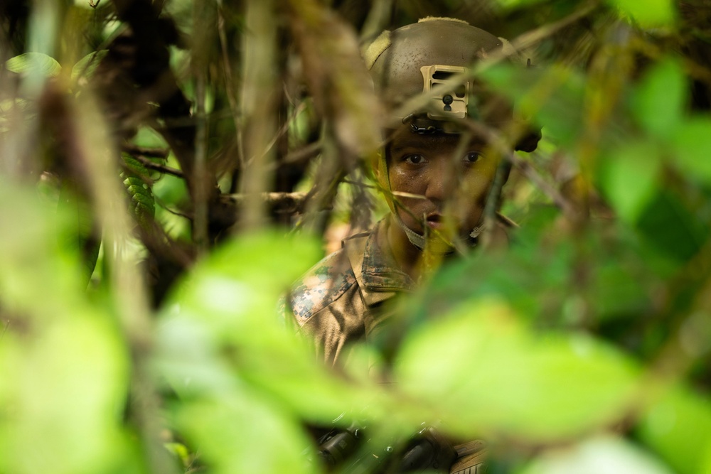 LCF-24: V32 MSOT 8014 CQB Training