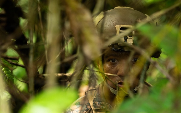 LCF-24: V32 MSOT 8014 CQB Training