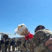 Virginia Air National Guard members return after support of Operation Epic Fury deployment