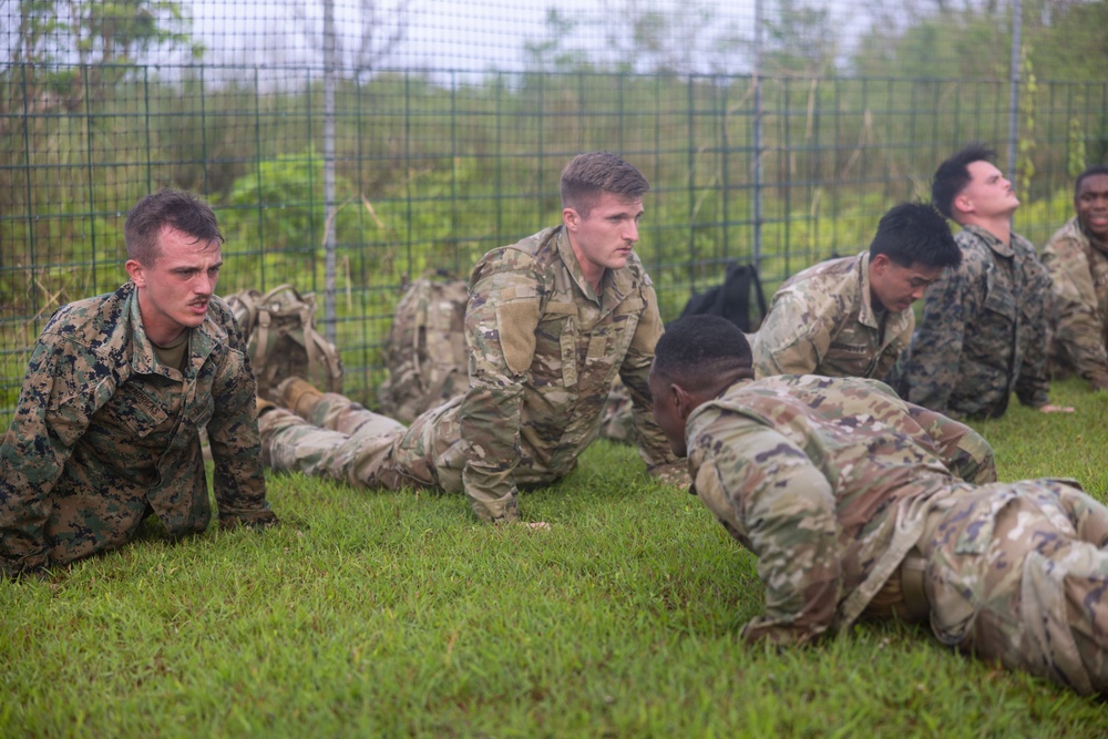 A group of military personnel in camouflage uniforms are performing low-crawl or push-up exercises on a grass field during what appears to be a training exercise. At least two distinct uniform patterns are visible — USMC MARPAT digital camouflage and US Army/Multicam OCP pattern — suggesting a joint or combined training event. The setting appears to be an outdoor training area enclosed by a wire fence, with overcast skies and lush vegetation in the background.