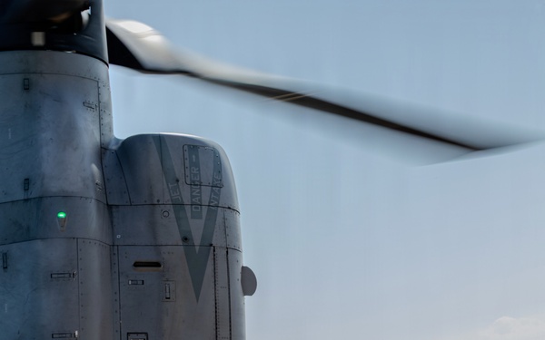 U.S. Marines Conduct Tactical Air Control Party Training